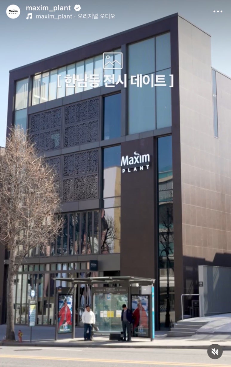 맥심 플랜트(Maxim PLANT) 이미지