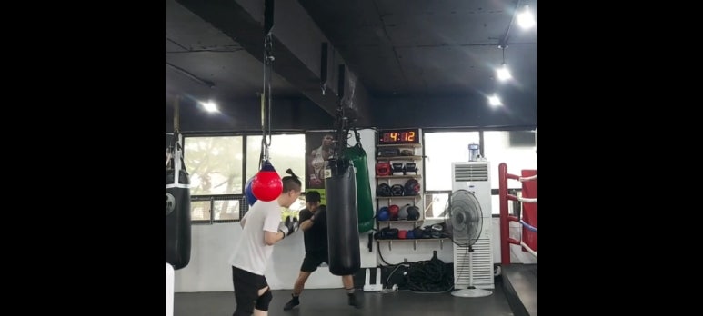 와룡복싱 이미지