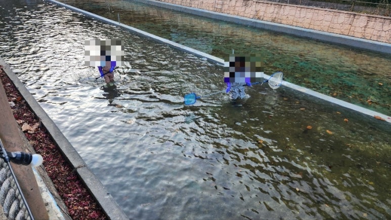 대둔산캠핑랜드 이미지