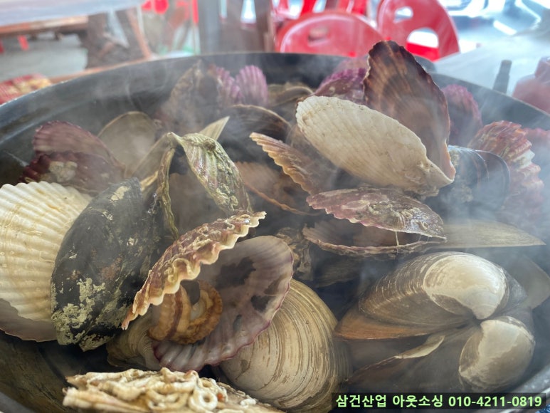 보경이네 이미지