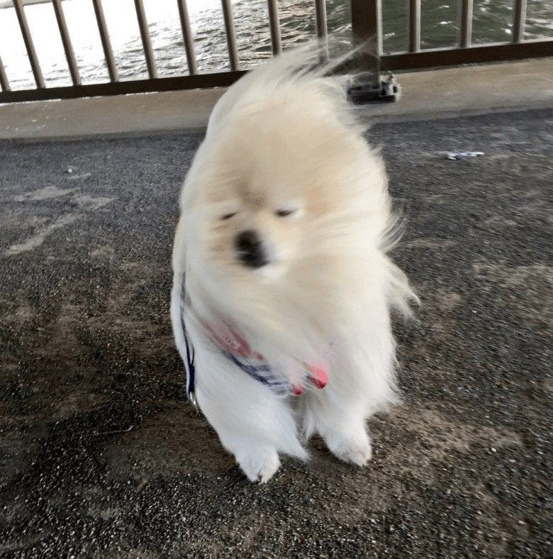 얌얌 이미지