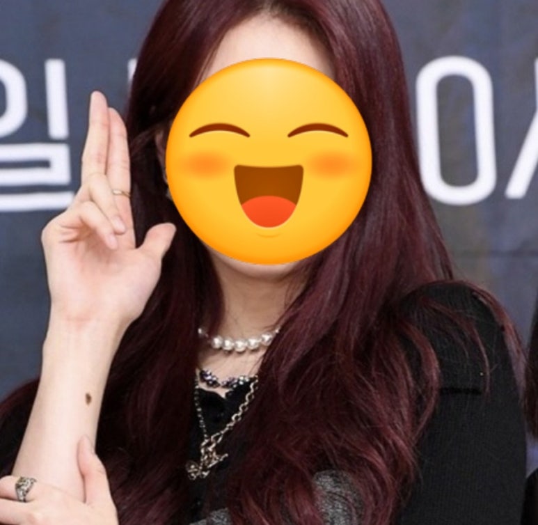 헤어빈 이미지