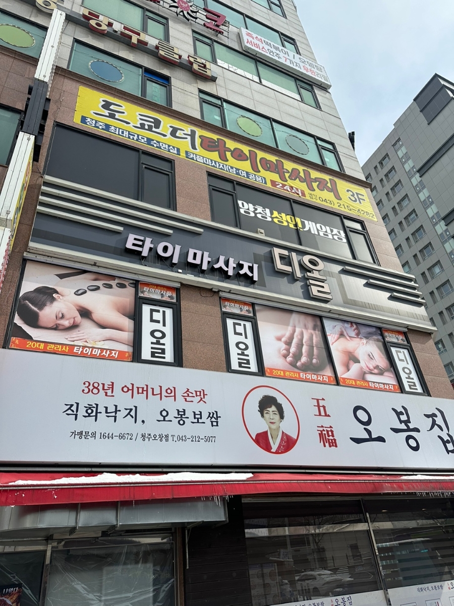 디올테라피 이미지