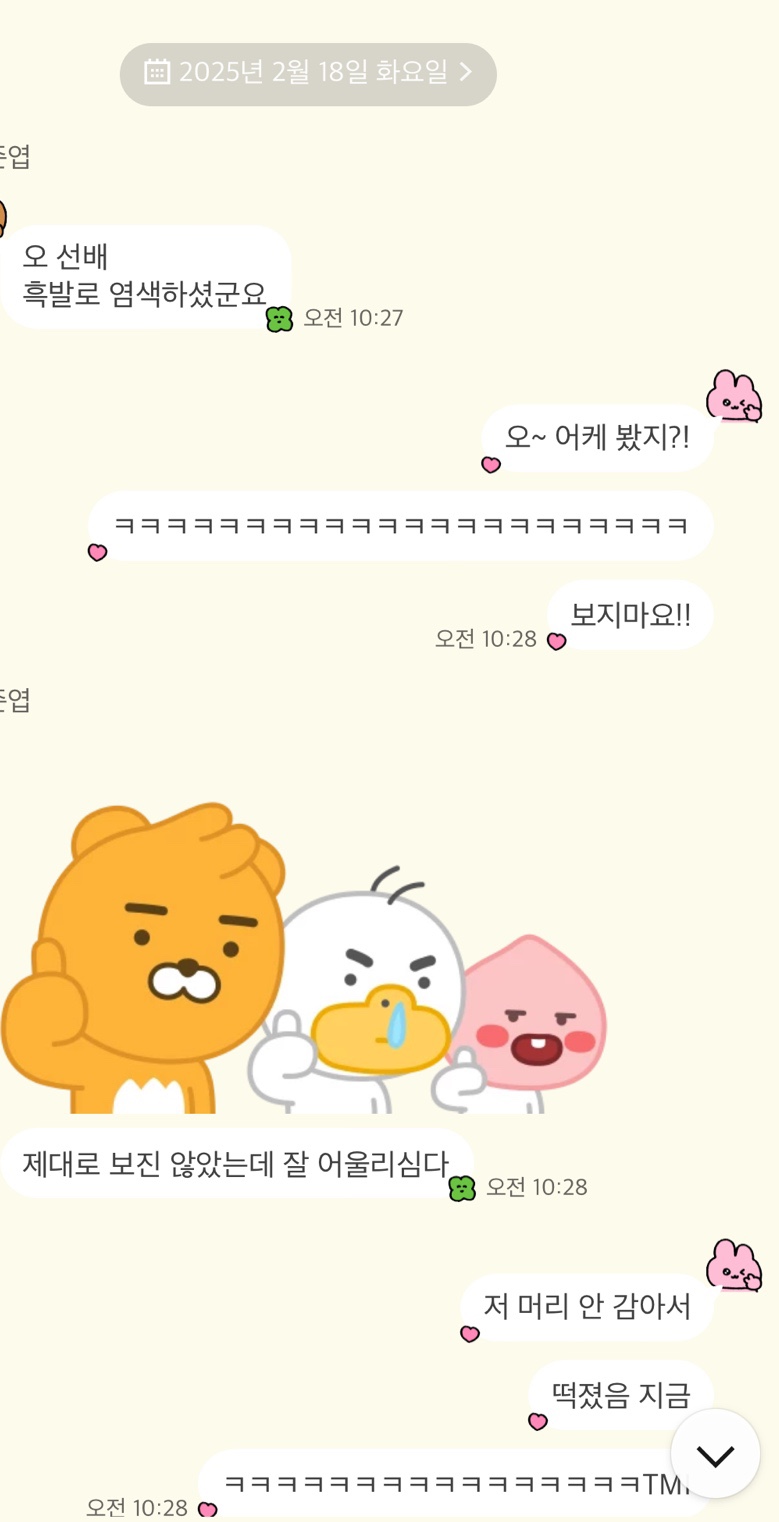 담비살롱 이미지