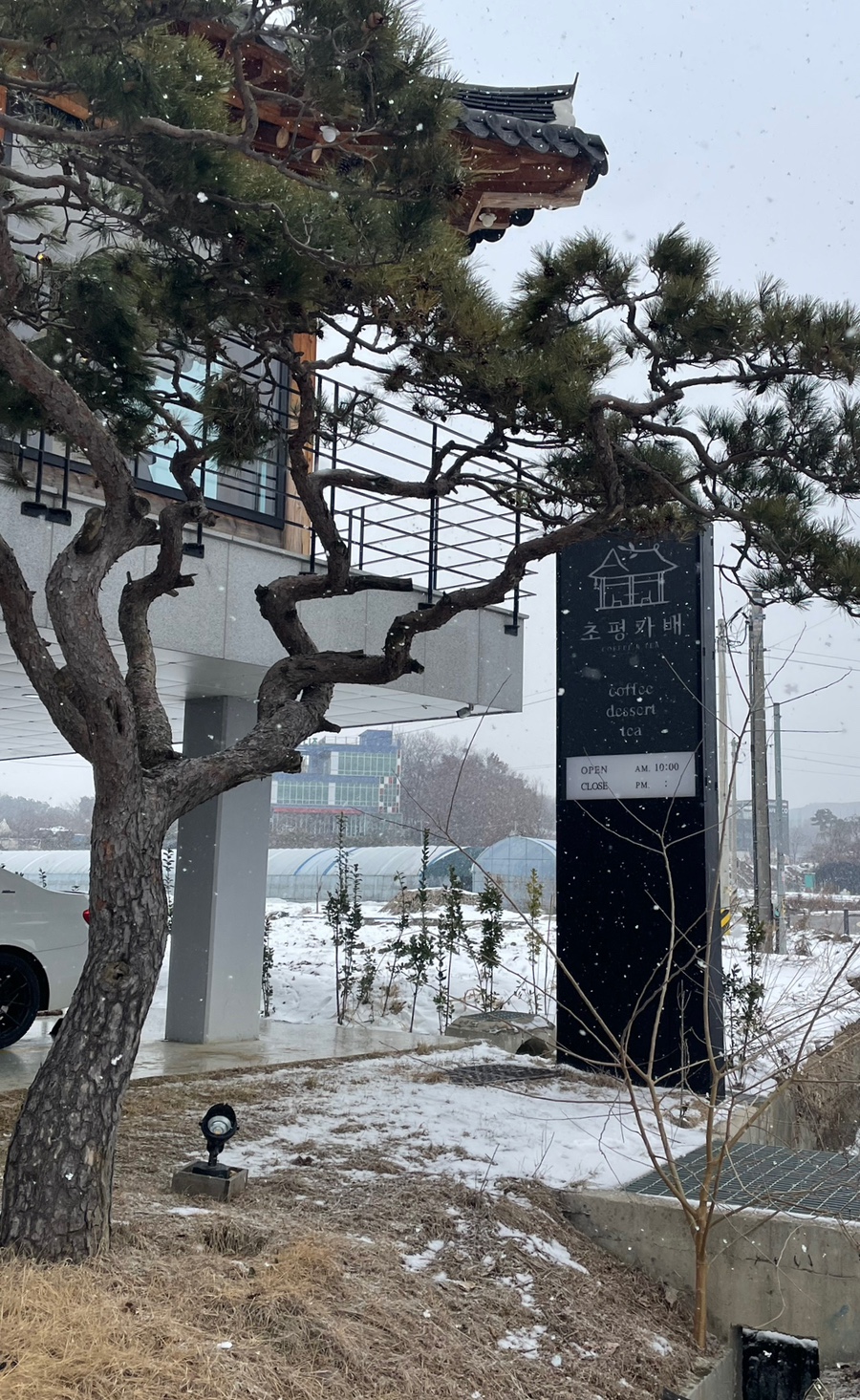 초평가배 이미지