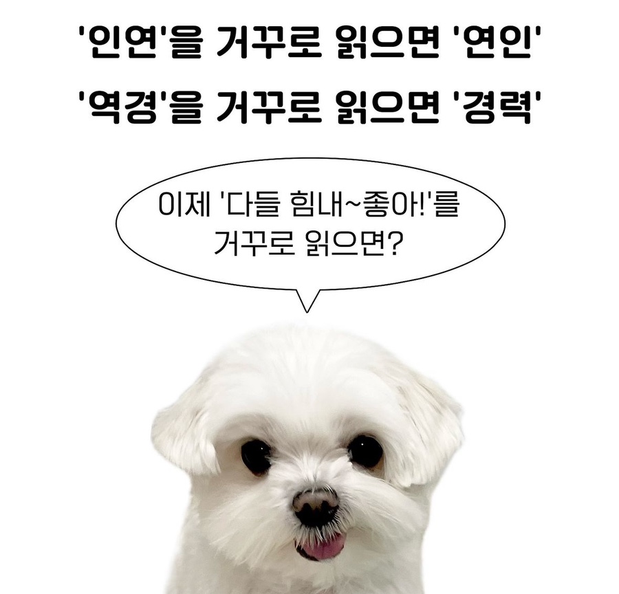 없음 이미지
