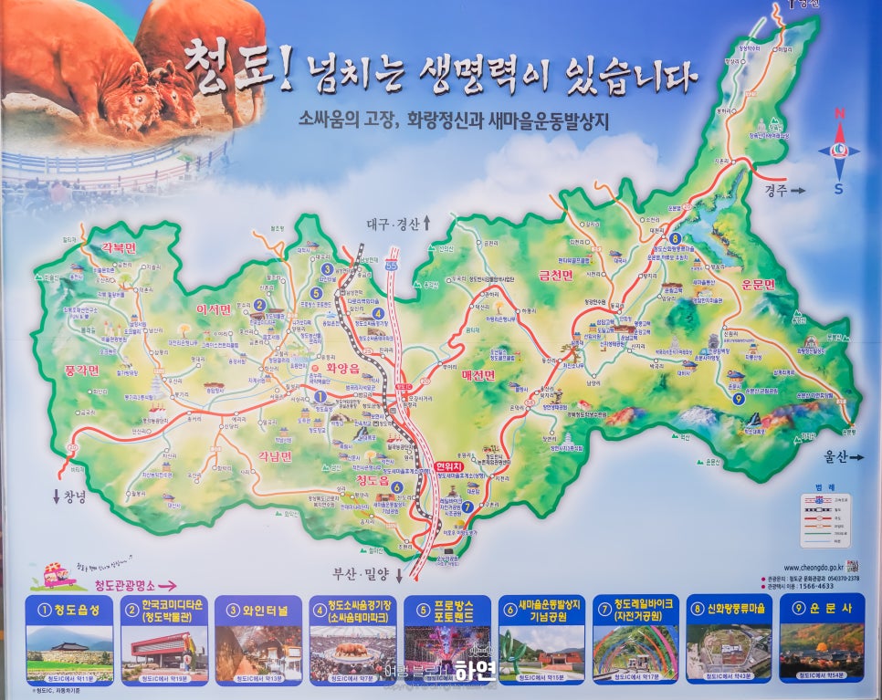 새대구자동차정비 이미지
