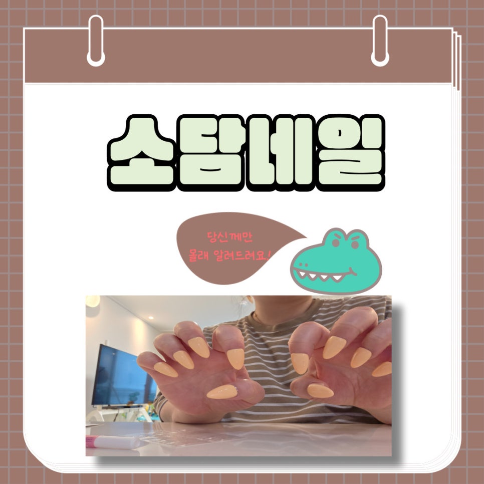 소담;네일 이미지
