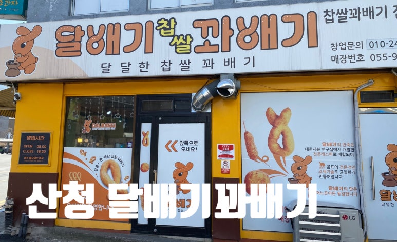 달배기꽈배기 이미지