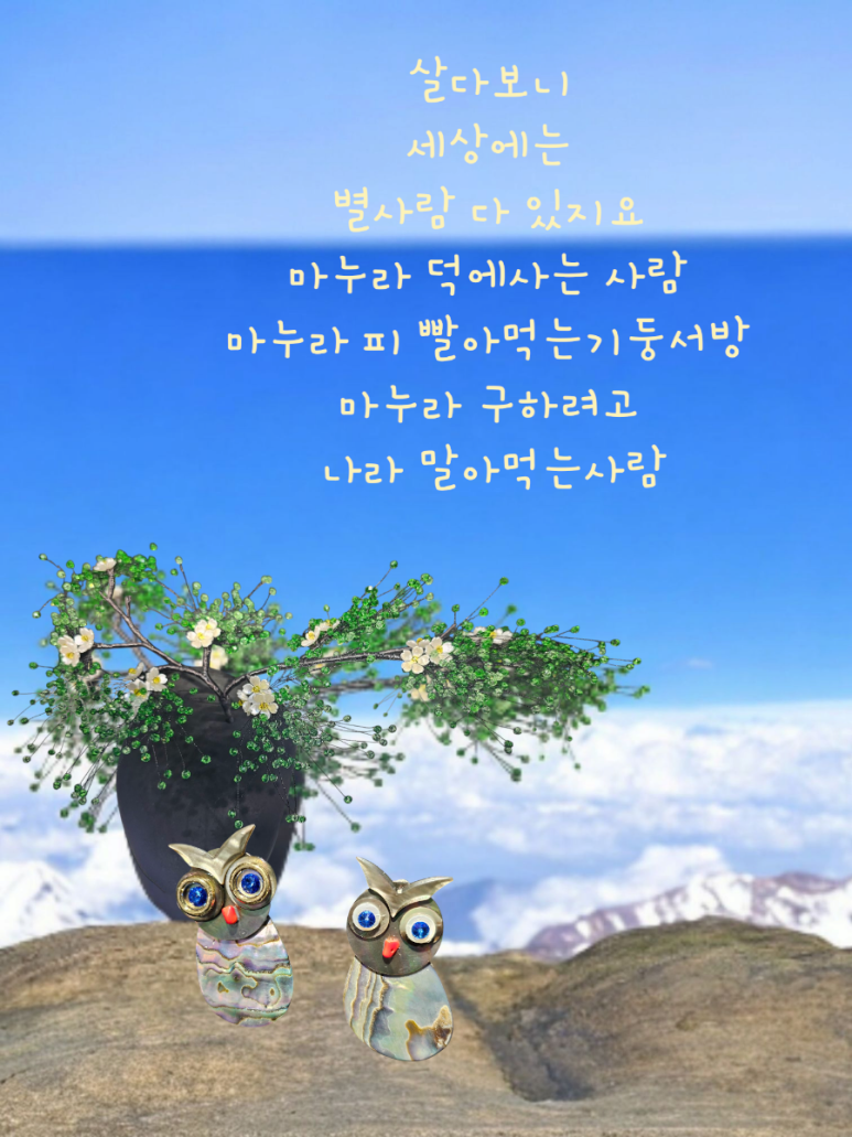 공방개미배꼽 이미지