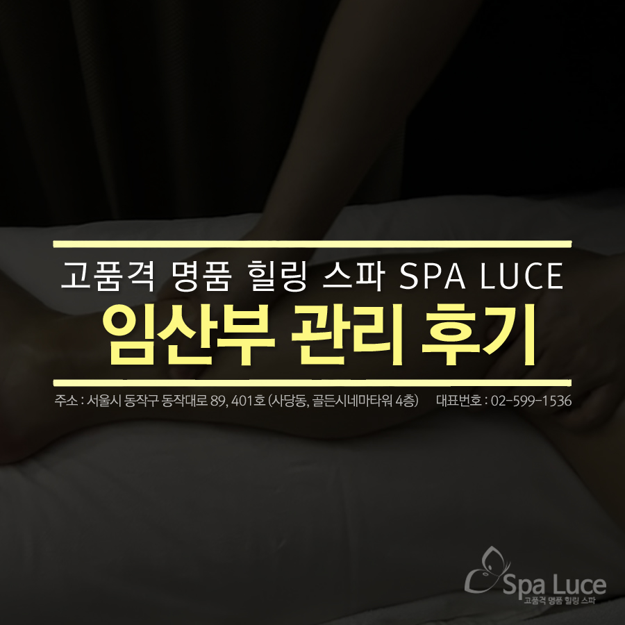 스파루체 이미지