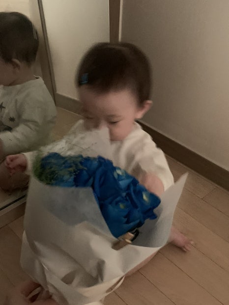 오하이플라워 이미지