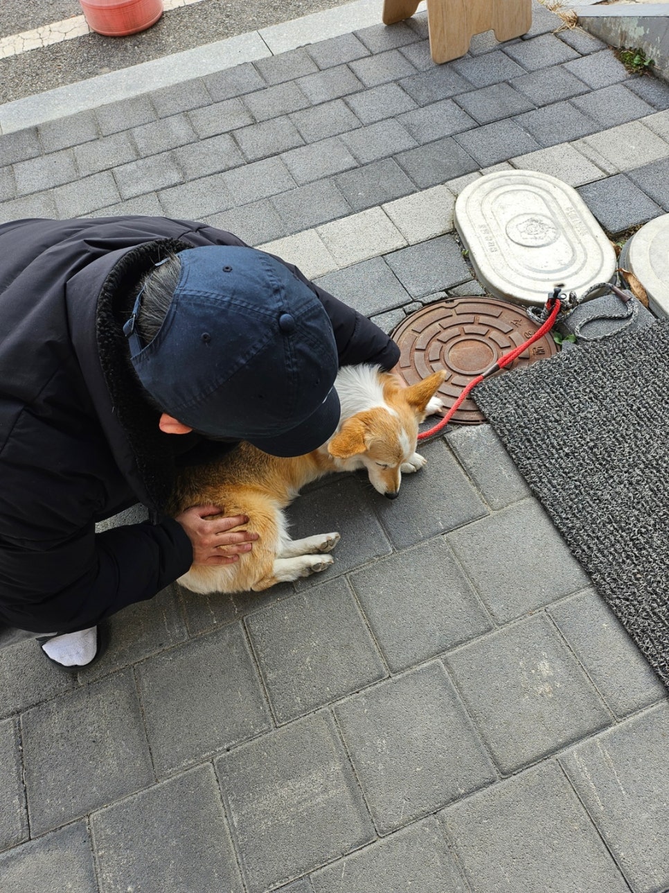 꾹수담 이미지