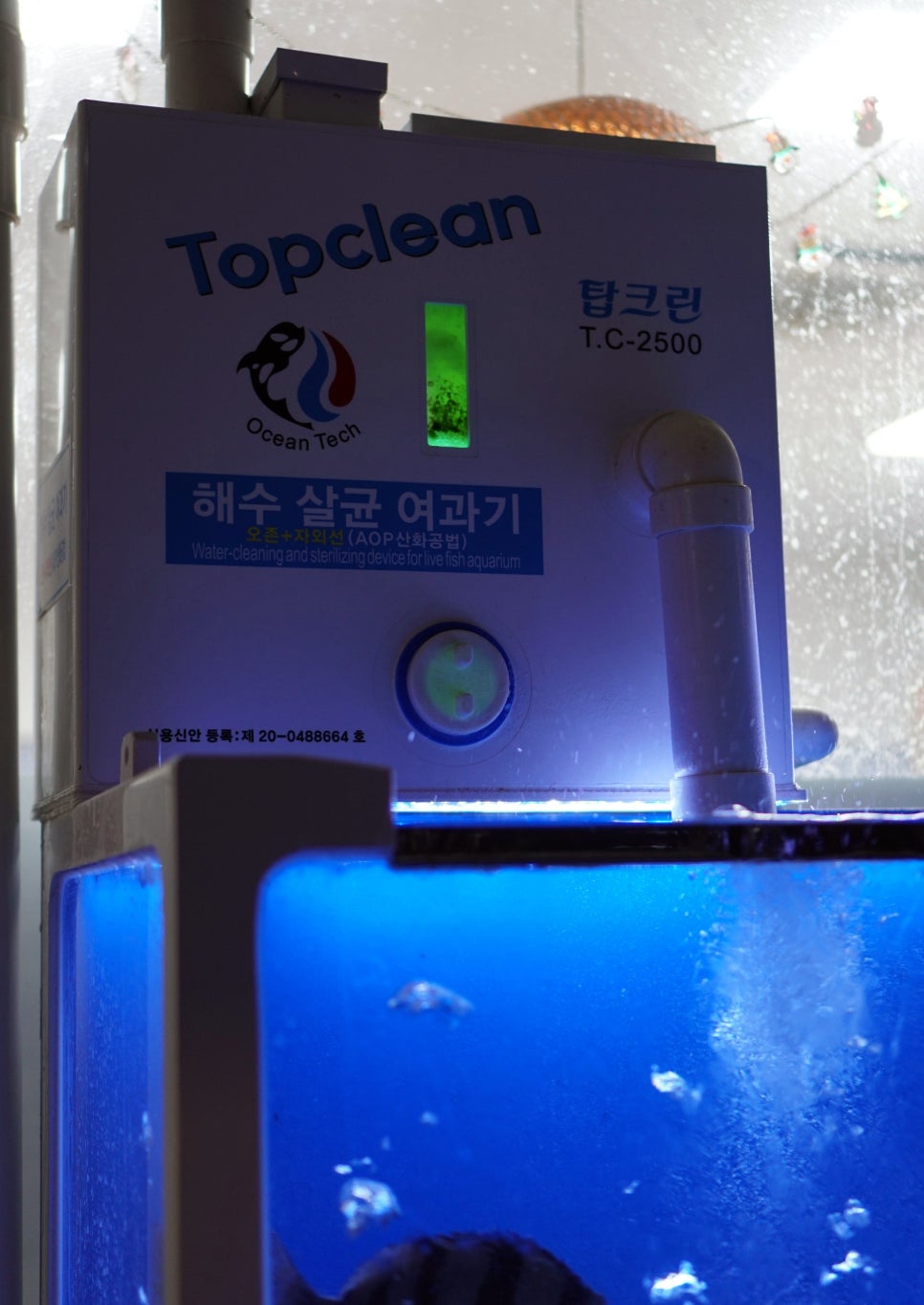 회싸게파는집활어직판장 이미지