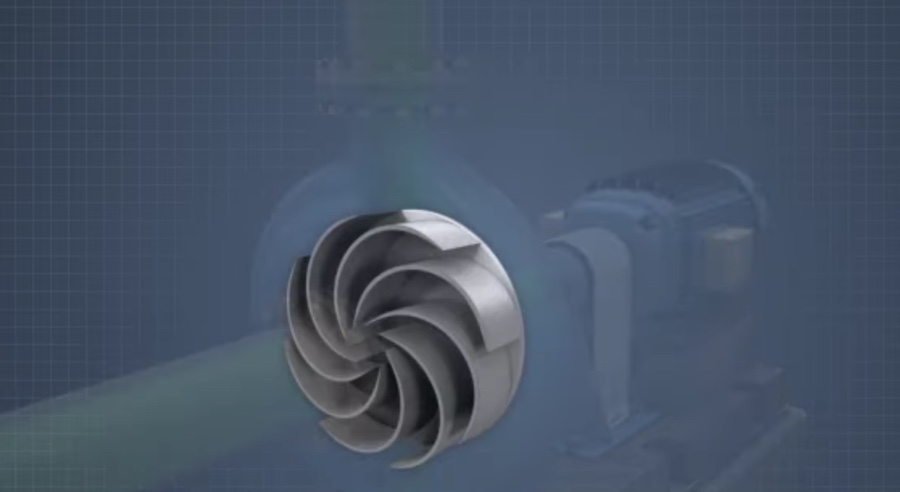 volute 이미지