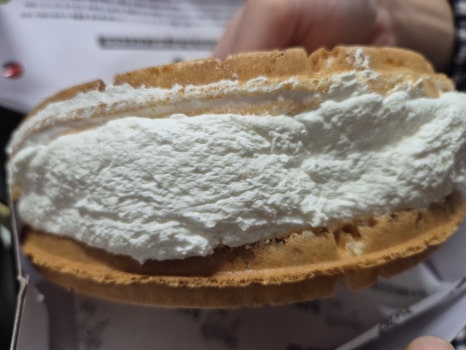 카페인중독숙대 이미지