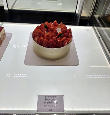 오뽐 이미지