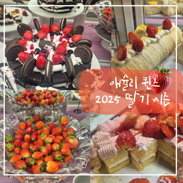 애슐리퀸즈2001 이미지