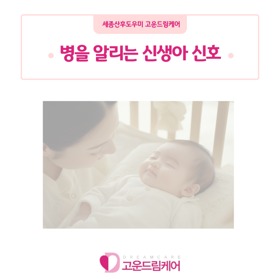 고운드림케어 이미지