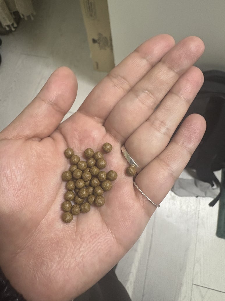 벨루스톤힐링카페 이미지