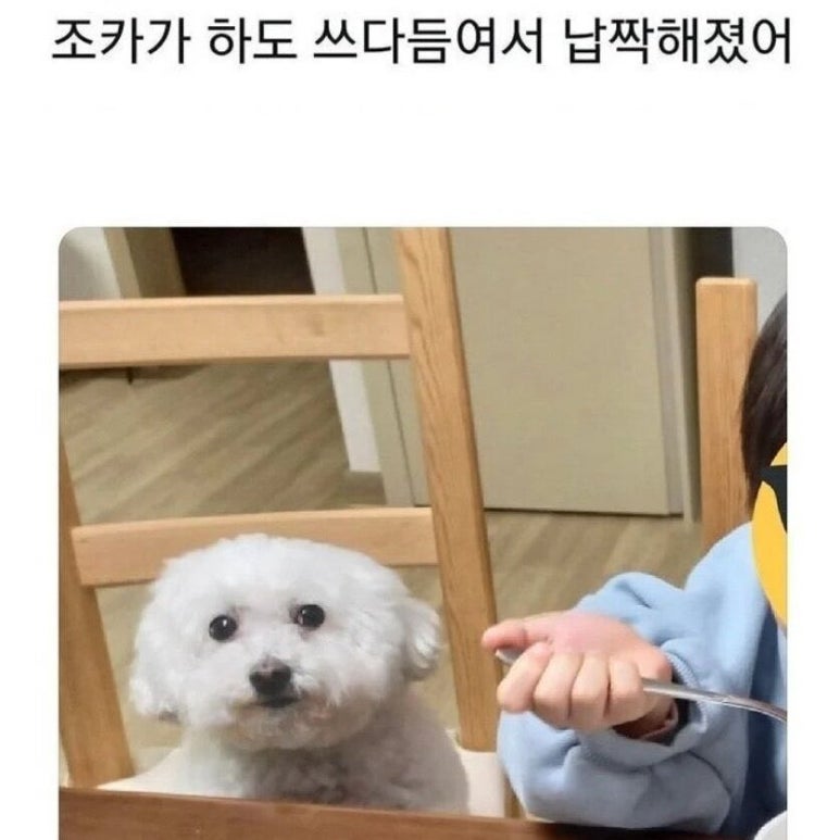 케이포유 이미지