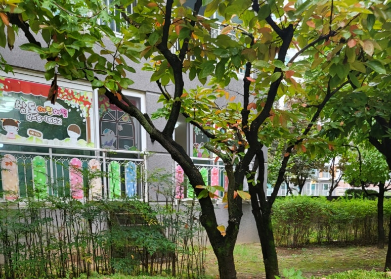 삼도어린이집 이미지