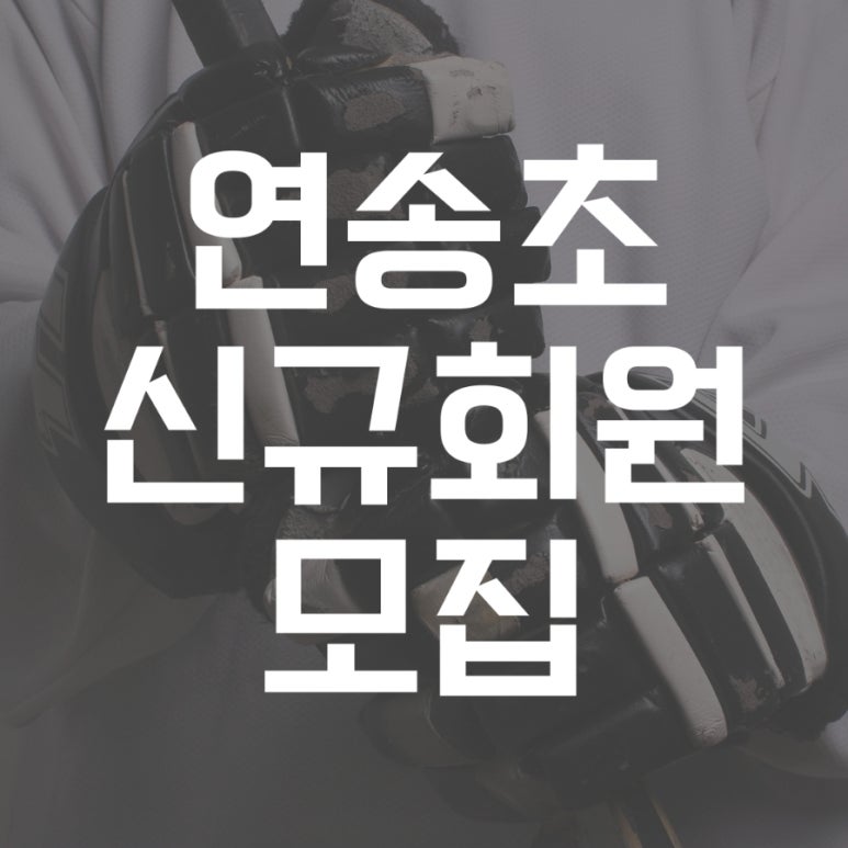 플레임스인라인하키클럽 이미지