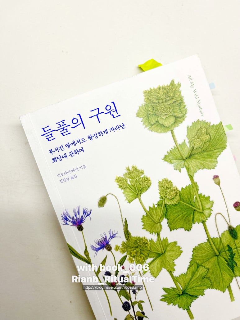 들풀연대 이미지