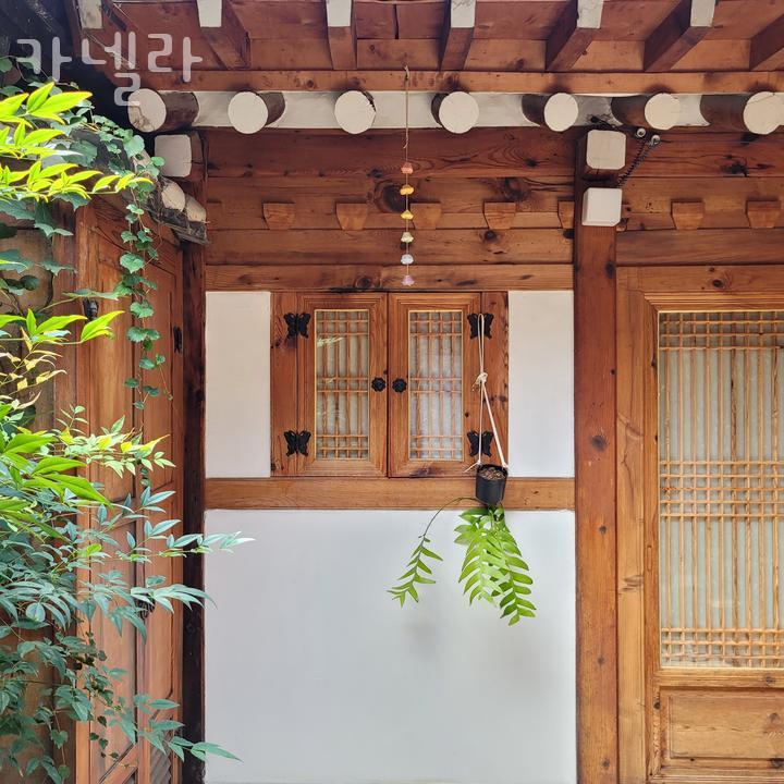 카넬라 이미지
