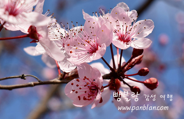 김*현 이미지