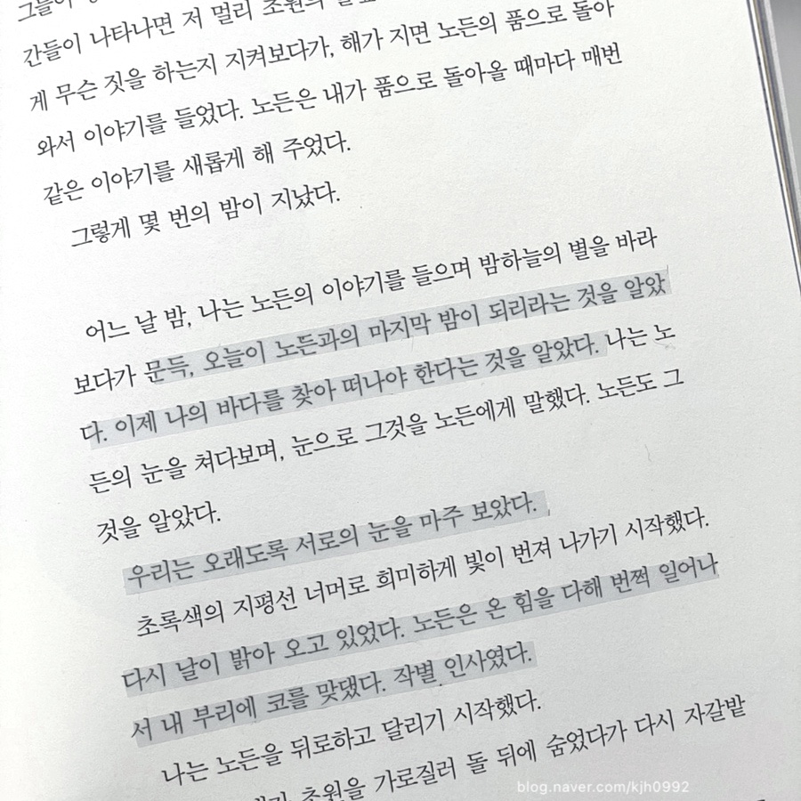 지전부리 이미지
