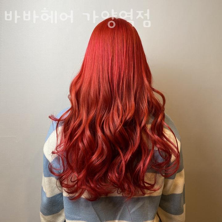 바바헤어 이미지