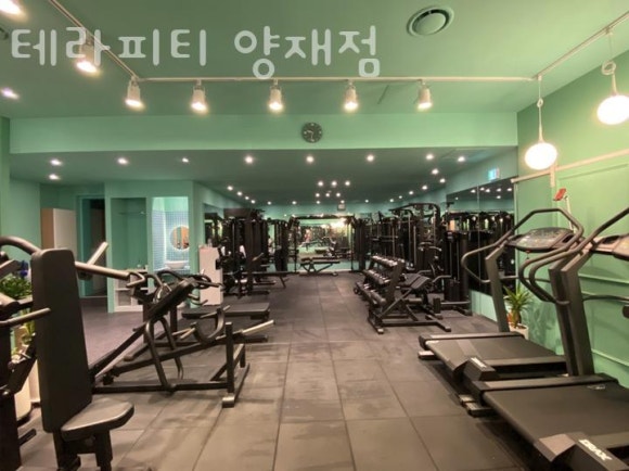 테라피티 이미지
