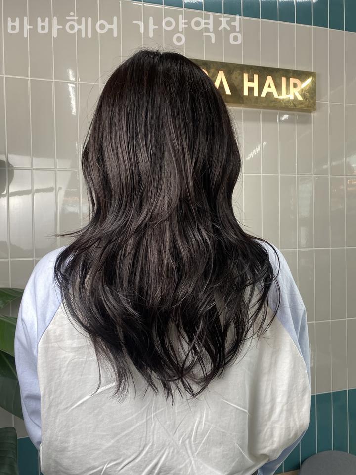 바바헤어 이미지