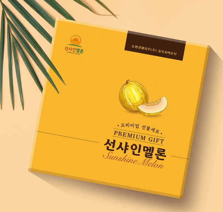 햇살디자인 이미지