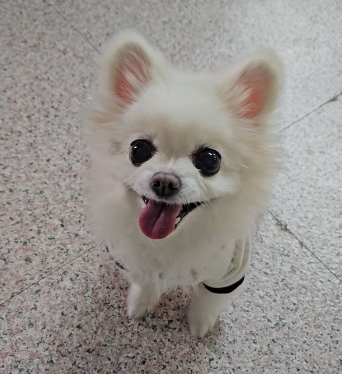 싼타사진관 이미지