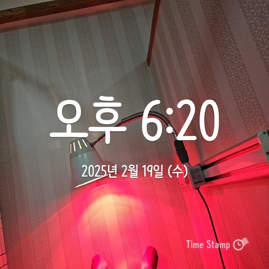 저잣거리돼지부속 이미지