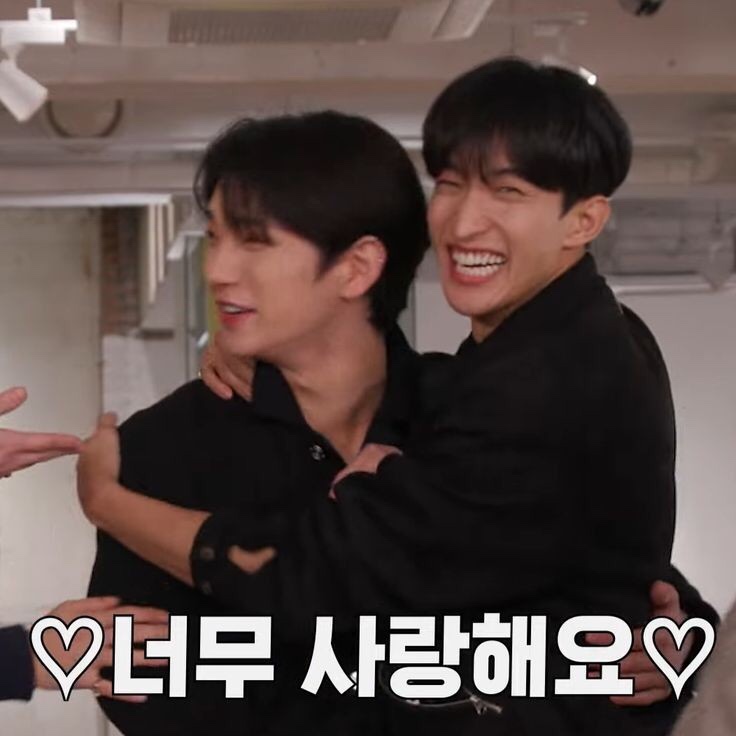 하담 이미지