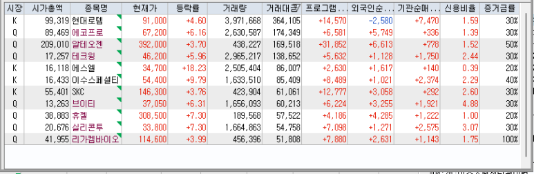 투에스엘 이미지