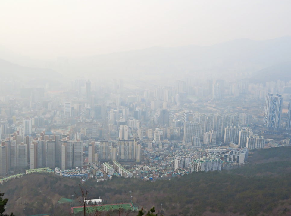 먼지 이미지