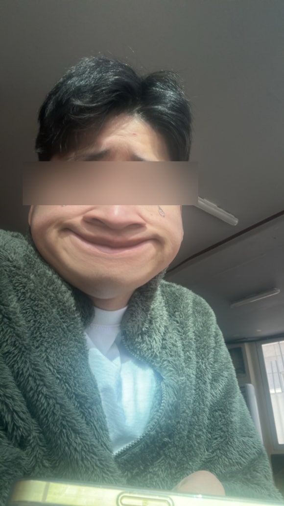 포고하노이 이미지