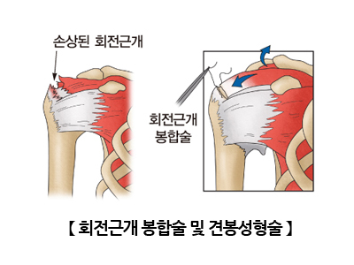 신세계병원 이미지