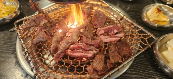 꽃보다갈빗살 사진 7