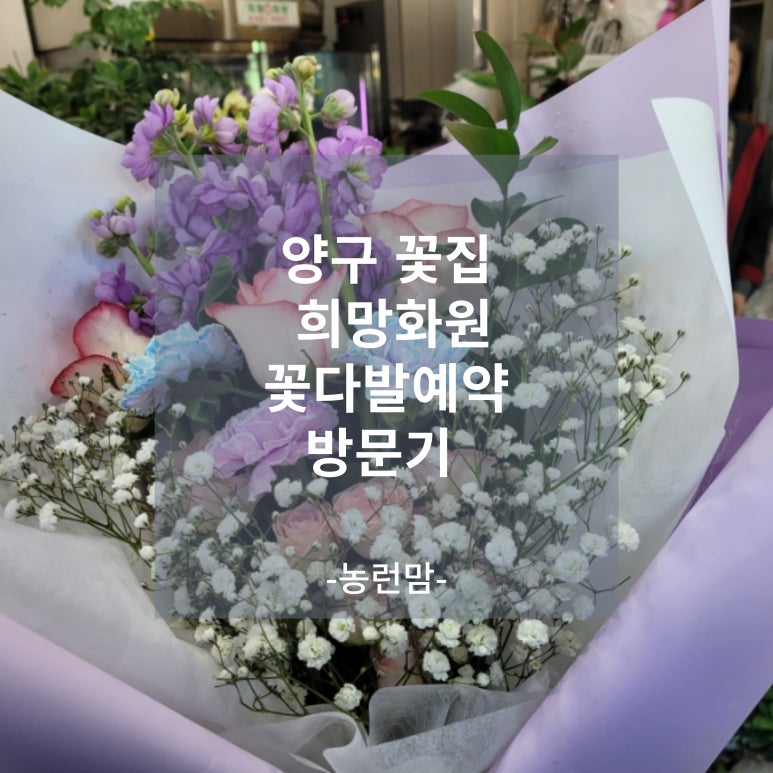 희망화원 이미지