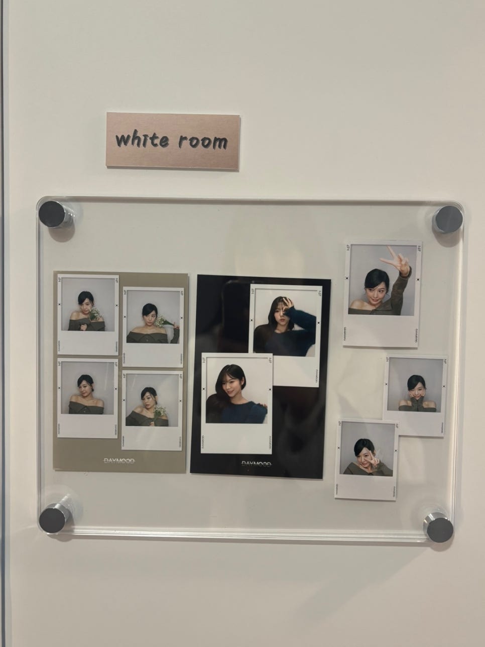 데이무드 / Daymood 이미지