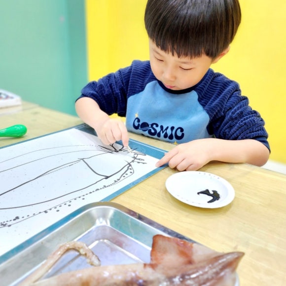 그림으로놀작 이미지