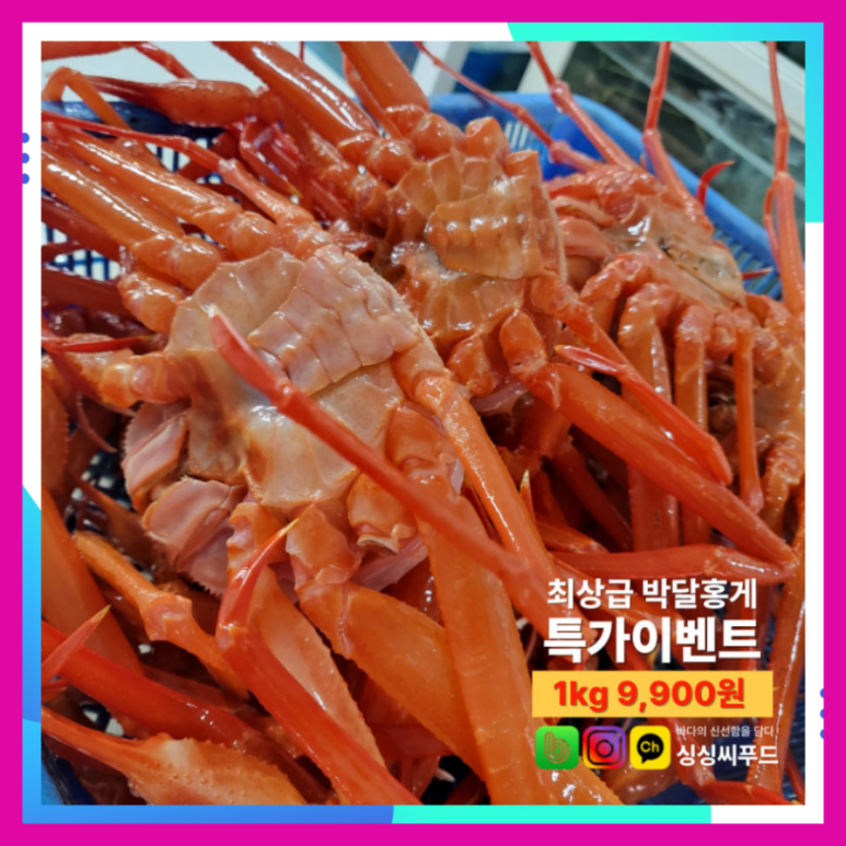 싱싱씨푸드 이미지