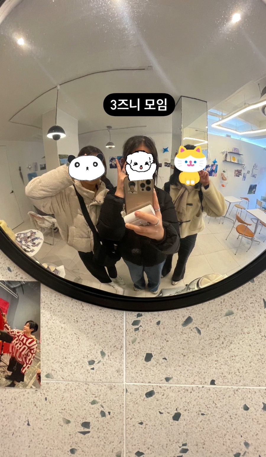 시츠(SITS) 이미지