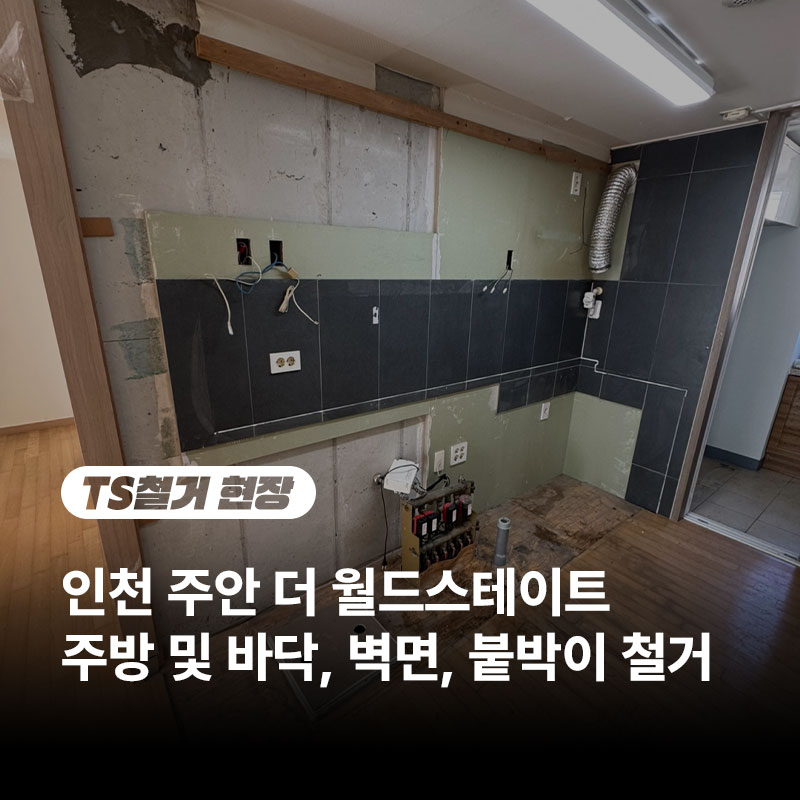 주안TS 이미지