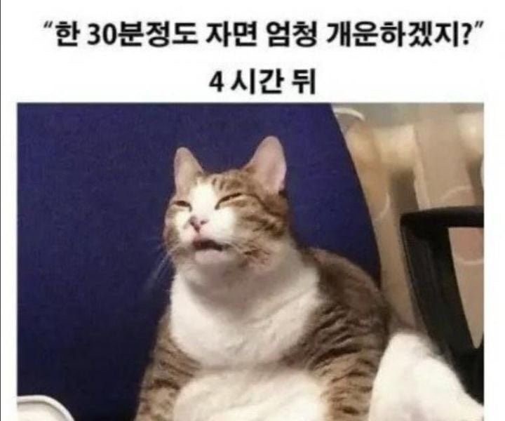 하삼동진장점 이미지